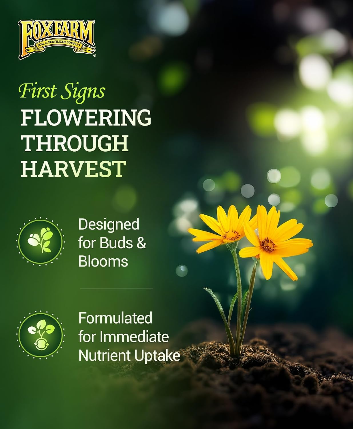 FoxFarm Tiger Bloom Liquid Plant Food - Phosphorus Fertilizer for Buds, Blooms & Flowering - Supports Soil & Hydroponic Systems - High Micronutrient Formula with 2-8-4 Nutrient Ratio - 2.5 Gallons