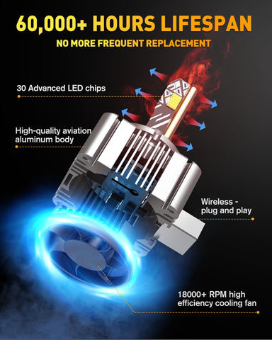 Termitor High Performance D3S Light Bulbs for Off-road
