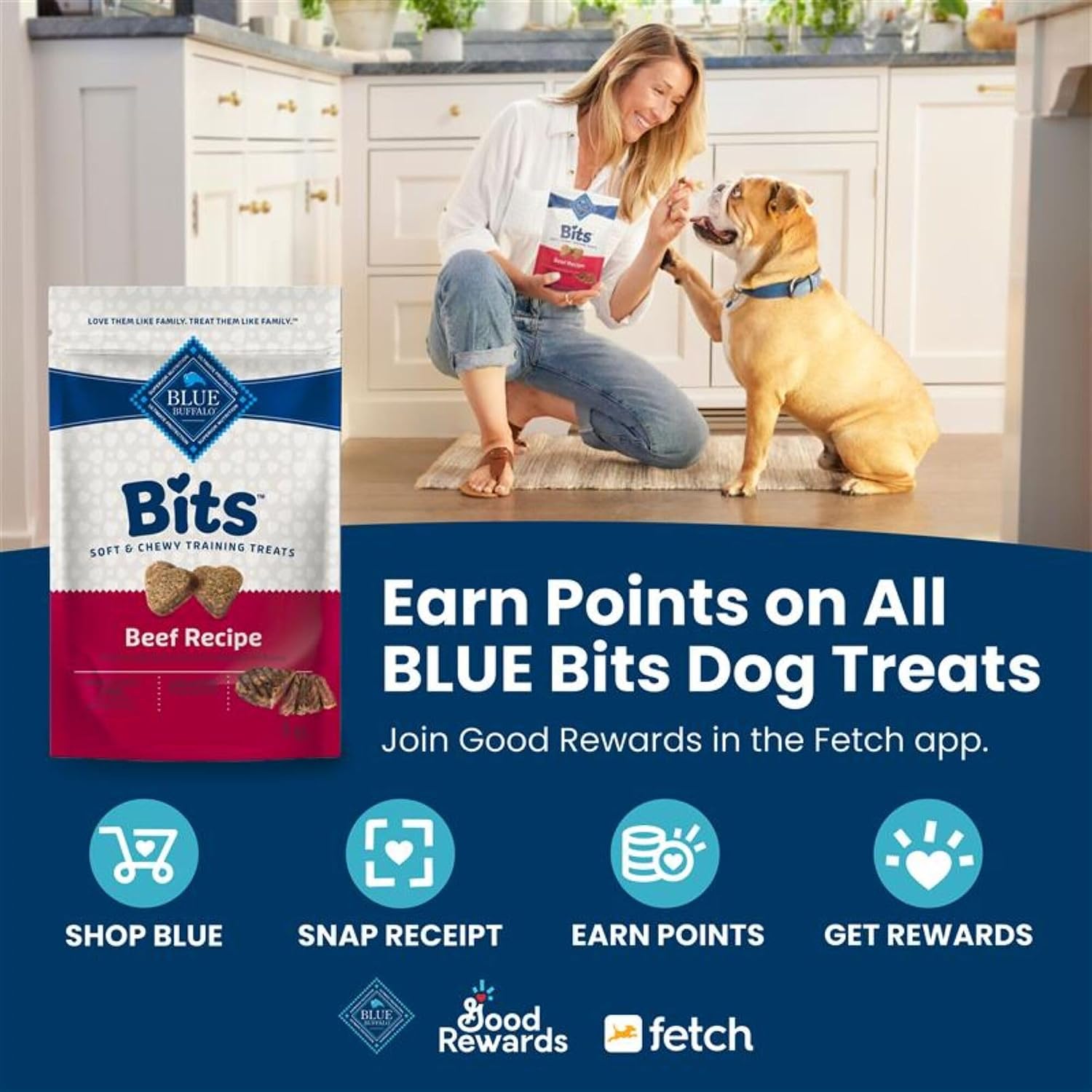 Blue Buffalo Bits Beef Training Treats, 1 oz, 12 ct