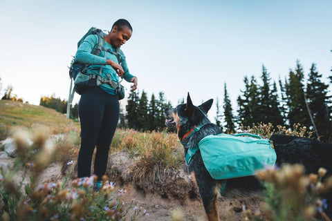 Ruffwear, Front Range Day Pack, River Rock Green, Medium