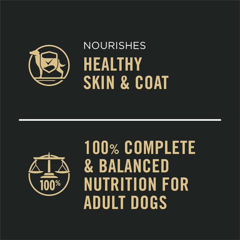 Purina Pro Plan Wet Dog Food Variety Pack, Chicken & Beef, (12) 13 oz Cans