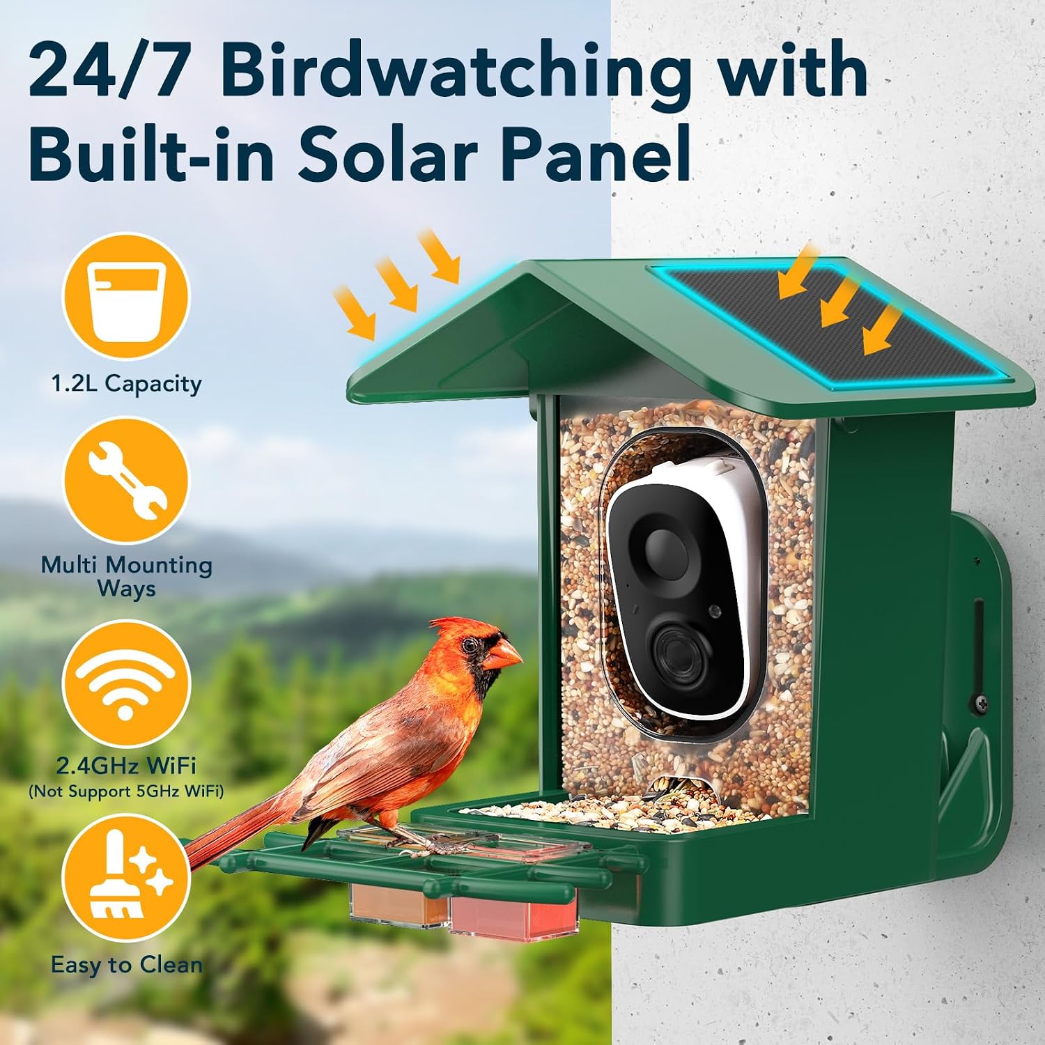 PeckCam® Bird Feeder with Camera Solar Powered 2K Live Video Auto Capture