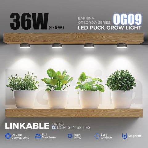 Barrina Orbgrow OG09 Puck Grow Light, 36W(4 x 9W), 5000K, 4 Packs, Black