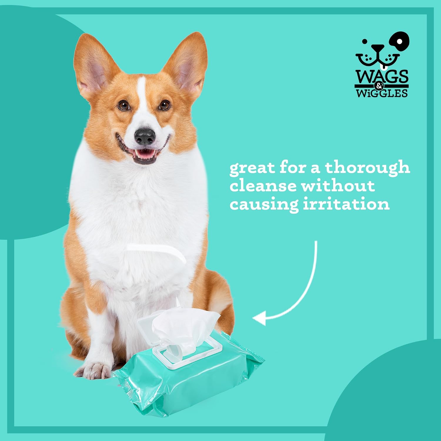 Wags & Wiggles Hypoallergenic Dog Wipes, Fragrance-Free, 100 Count