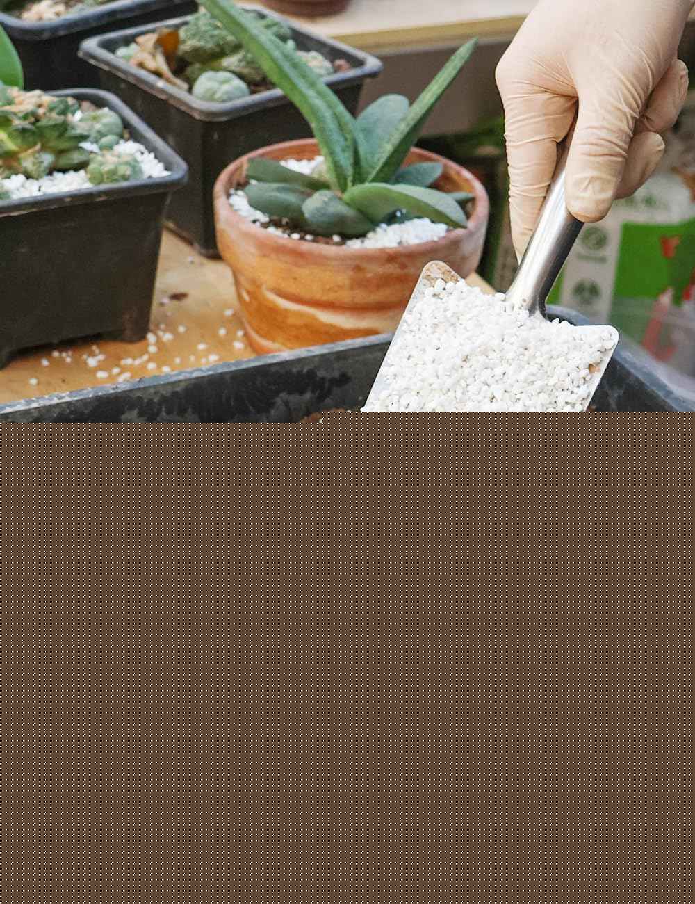 TOYPOPOR Perlite for Plants, (3qt) 3-6mm Organic Perlite for Gardening, Perlite for Plants Indoor, Soil Additive Conditioner Mix Improve Drainage and Ventilation Promote Root Growth and Soil Health