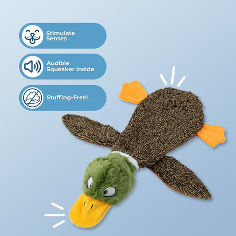 Best Pet Supplies 2-in-1 Fun Skin Stuffless Dog Toy - Wild Duck, Small