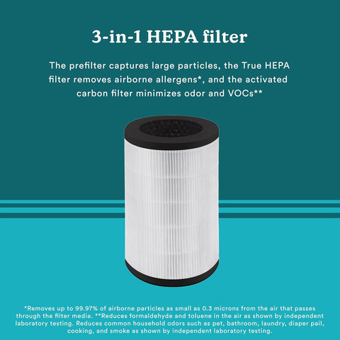 Homedics TotalClean 3-in-1 True HEPA Filter Replacement for Air Purifier