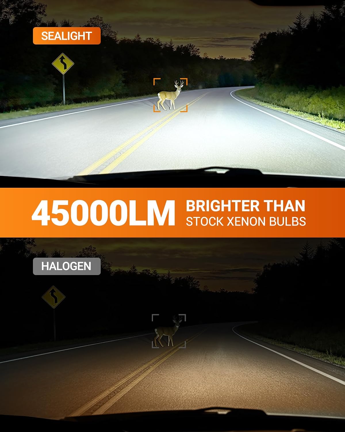 SEALIGHT D4S Bulbs 6500K Cool White Brighter 1:1 Mini Size Plug and Play HID Fog Lights Replacement, IP68 Waterproof 0.01s Instant Start Pack of 2