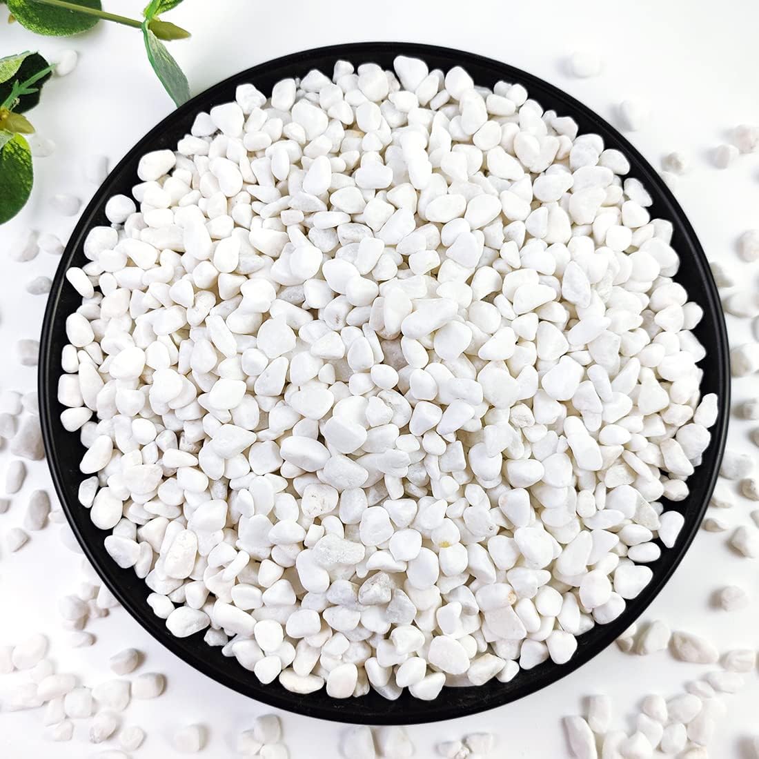 YISZM 5LB Succulent and Cactus Gravel Pebbles, 1/5 Inch White Stones