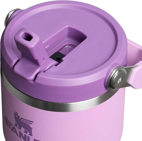 STANLEY IceFlow 2.0 Flip Straw Tumbler, 20 oz, Lilac