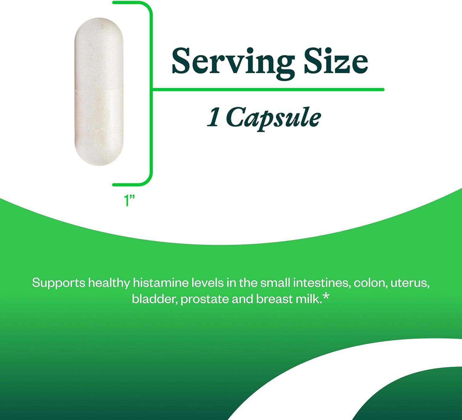 Seeking Health DAO Enzyme - Formerly Histamine Digest, DAO Enzyme Supplement for Histamine Food Intolerance, Supports Digestive Health, Upset Stomach (90 Capsules)*