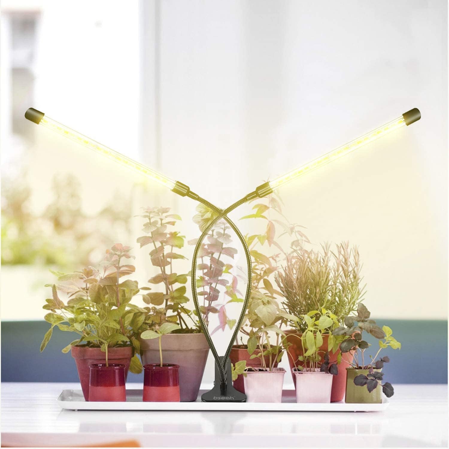 bseah Grow Light Plant Lights for Indoor Plants, Full Spectrum Plant Grow Lamp, 10 Dimmable Levels, Auto ON & Off with 3/9/12H Timer