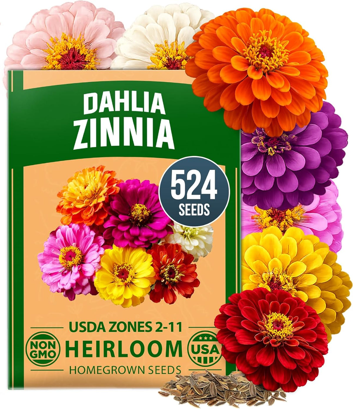 HOME GROWN Zinnia Dahlia Seeds, 524 Seeds, Zinnia elegans