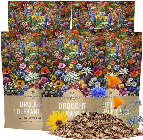 Drought Tolerant Wildflowers Mix – Bulk 5 Pounds – Over 600,000 Open Pollinated Non-GMO Seeds – 21 Different Dryland Species