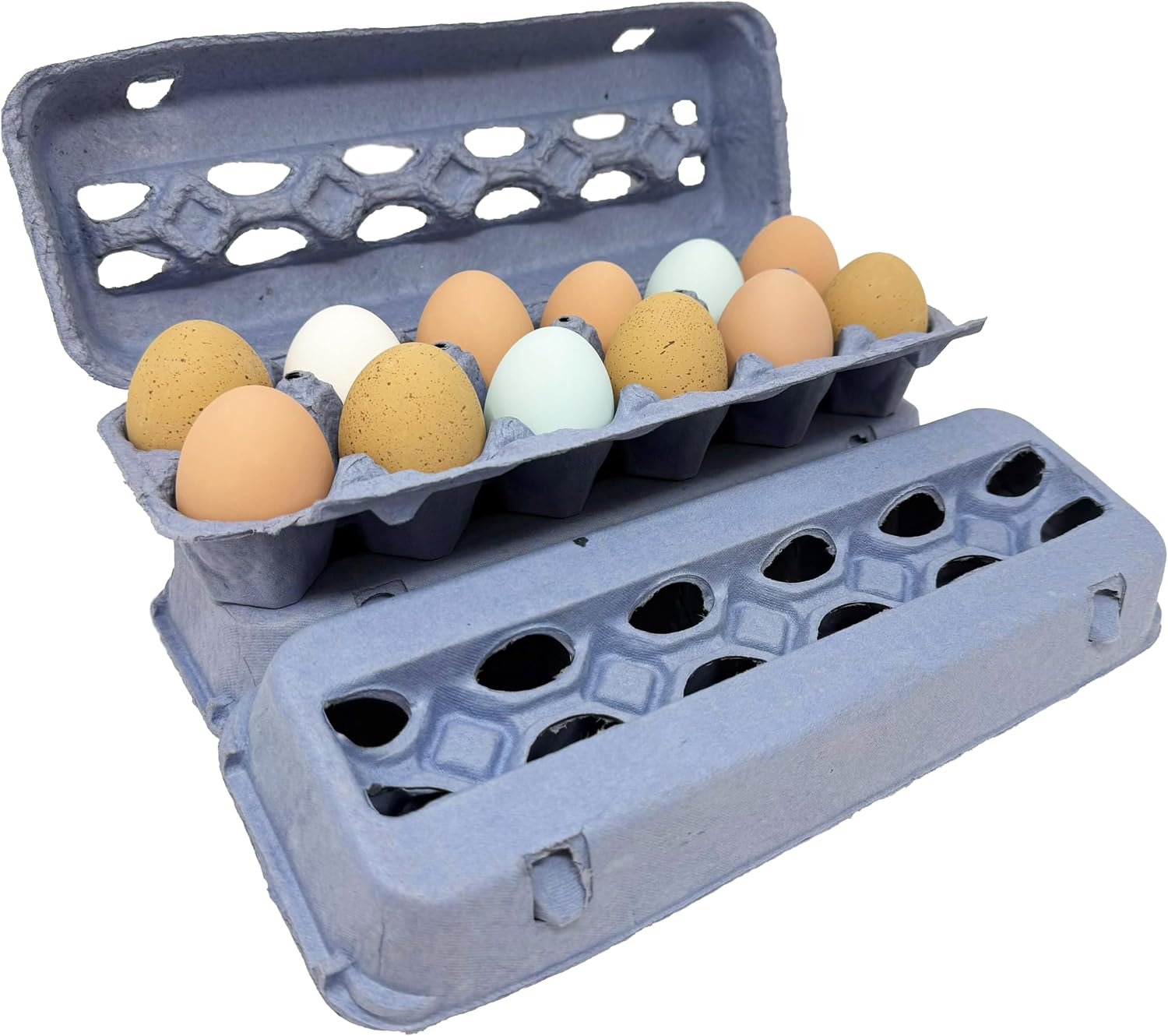 Blue Paper Pulp Egg Cartons - 50 Pack