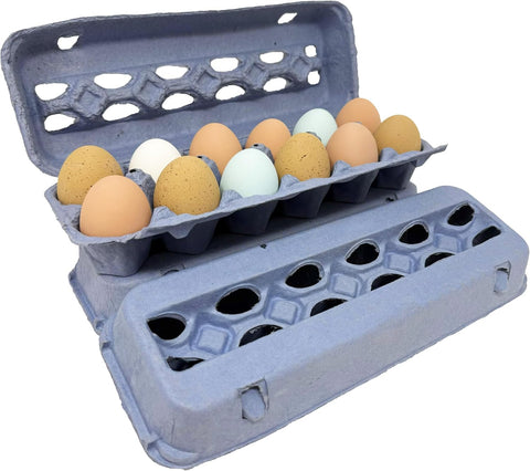 Blue Paper Pulp Egg Cartons - 50 Pack