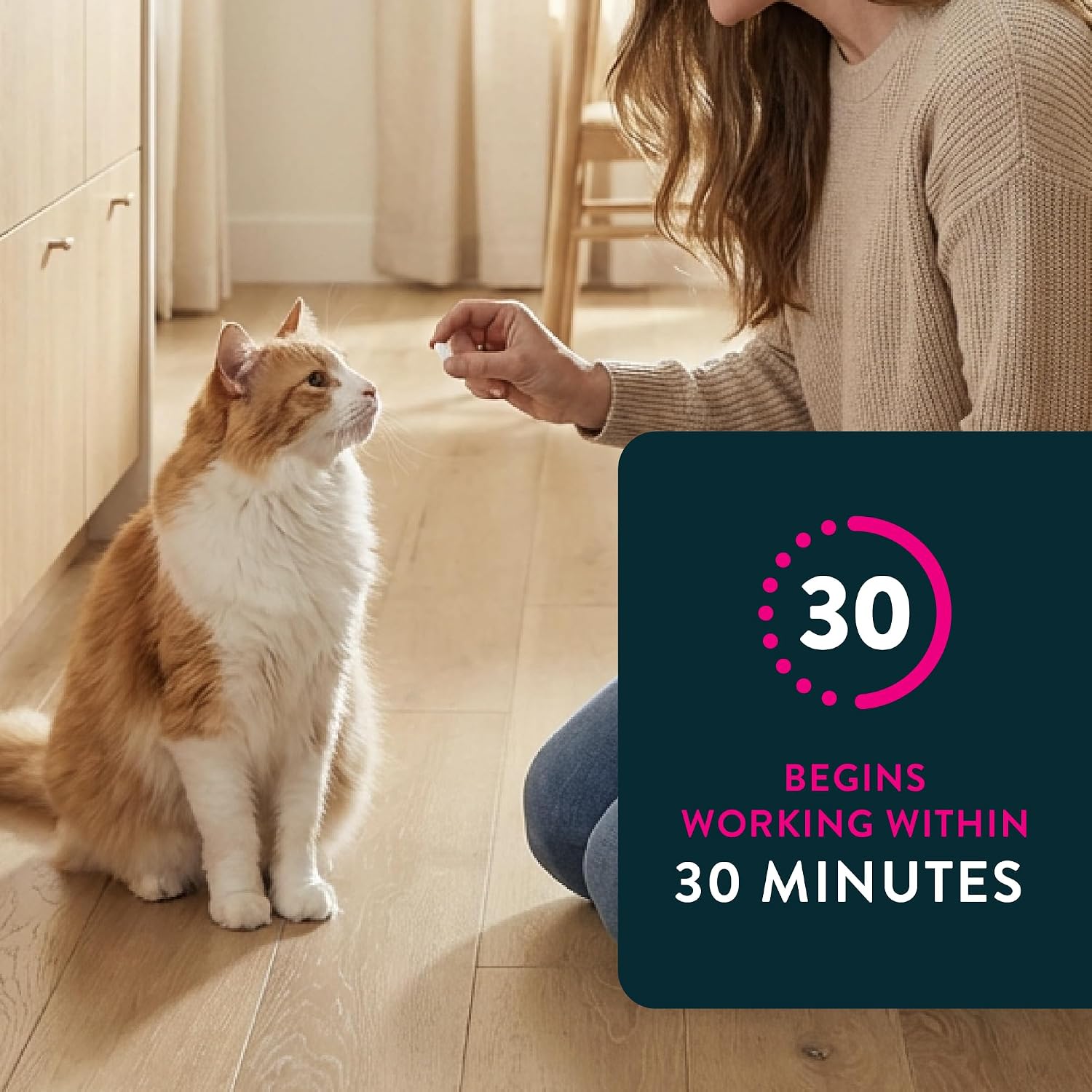 Capstar (nitenpyram) Cat Flea Treatment, Fast-Acting Oral Flea Treatment for Cats 2-25 lbs, Vet-Recommended Medication Tablets Start Killing in 30 Minutes, 6 Doses
