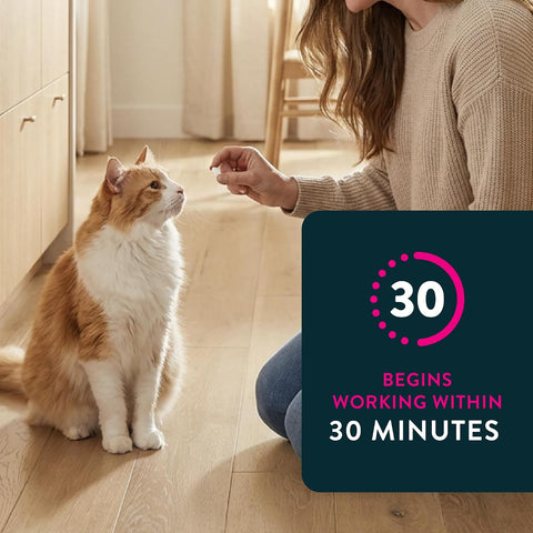Capstar (nitenpyram) Cat Flea Treatment, Fast-Acting Oral Flea Treatment for Cats 2-25 lbs, Vet-Recommended Medication Tablets Start Killing in 30 Minutes, 6 Doses