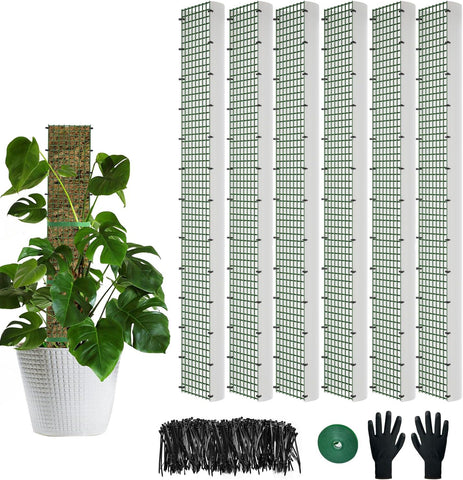 60"/40"/24" Metal Moss Pole, D Shape Sphagnum Moss Pole, Moss Poles for Climbing Plants, Monstera, Indoor Climbing Plants (6Pcs 40")
