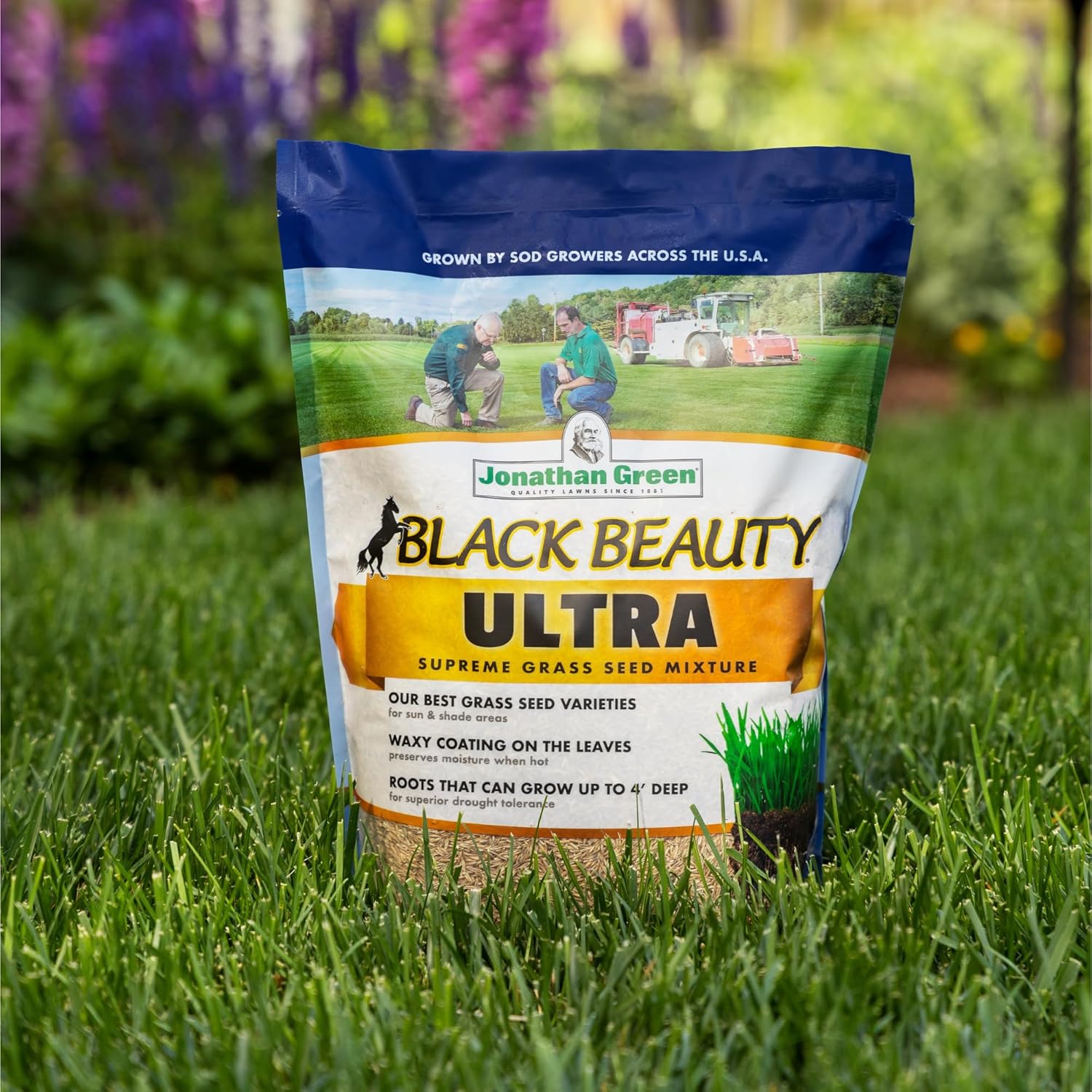 Jonathan Green Black Beauty Ultra Grass Seed - 7 lb