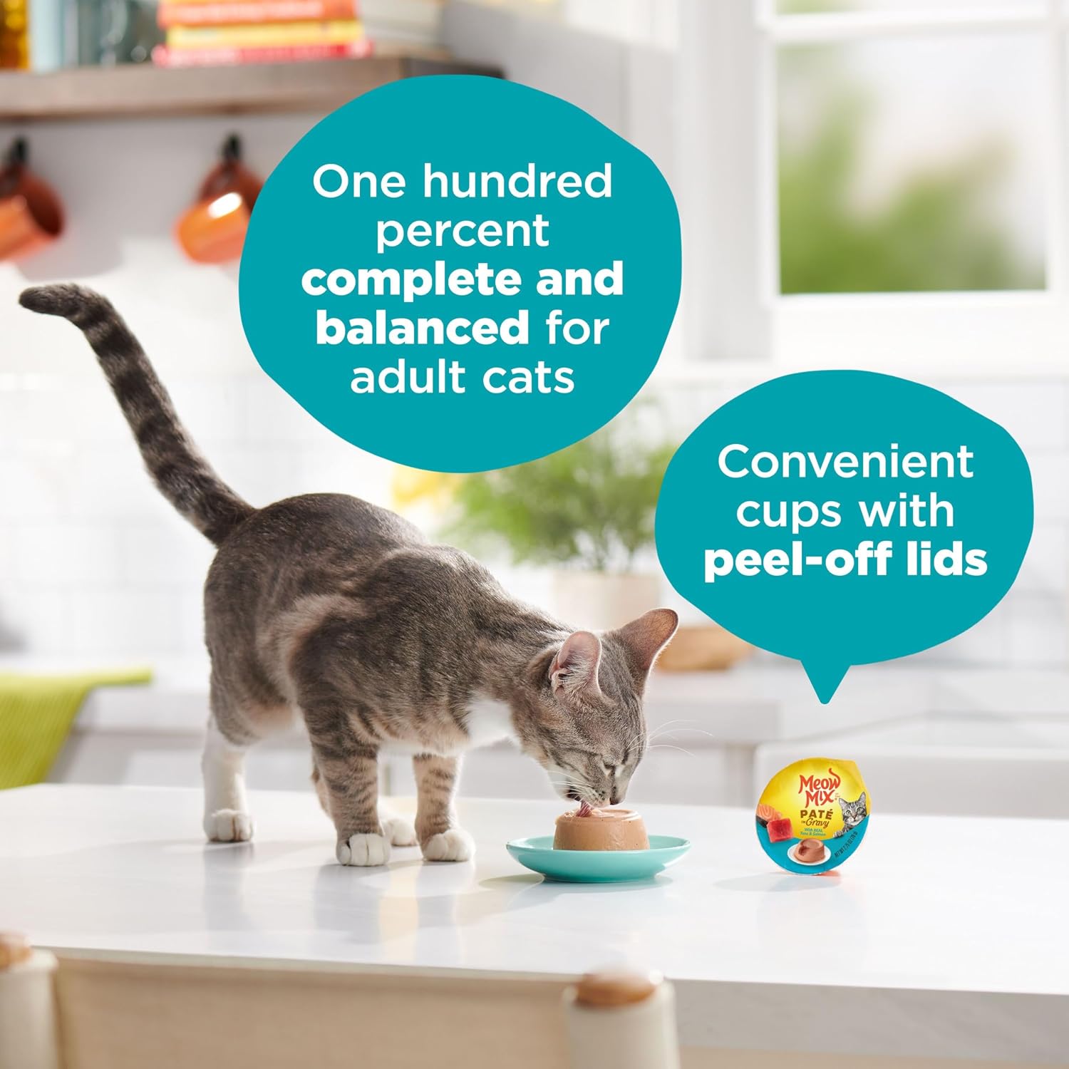 Meow Mix Paté in Gravy, Wet Cat Food with Real Tuna & Salmon, 12 Cups