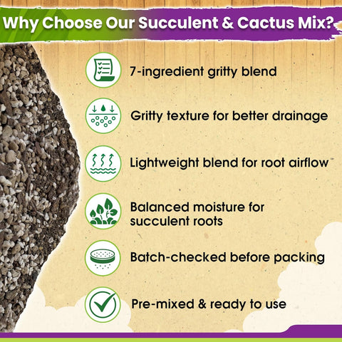 DUSPRO 7-in-1 Succulents & Cactus Soil Mix, Pre-Mixed & Ready to Use, 8 QT
