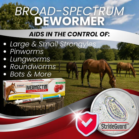 Horse Ivermectin Paste 1.87% – Apple Flavored Oral Horse Dewormer Syringe – 6.08g Tube Treats Horses Up to 1,250 lbs [Pack-1]