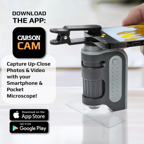 Carson MicroBrite Microscope Kit, 60x-120x LED Pocket Microscope for Adults or STEM Education, Pro Includes Adapter with CarsonCam Phone App Converts into Powerful Handheld Digital Microscope (MM-350)