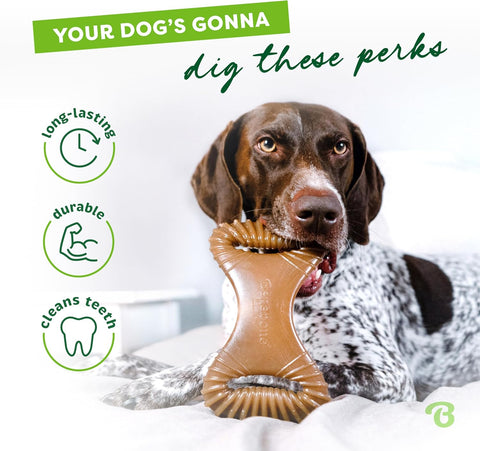Benebone Dental Dog Chew Toy for Aggressive Chewers, Real Bacon, Medium
