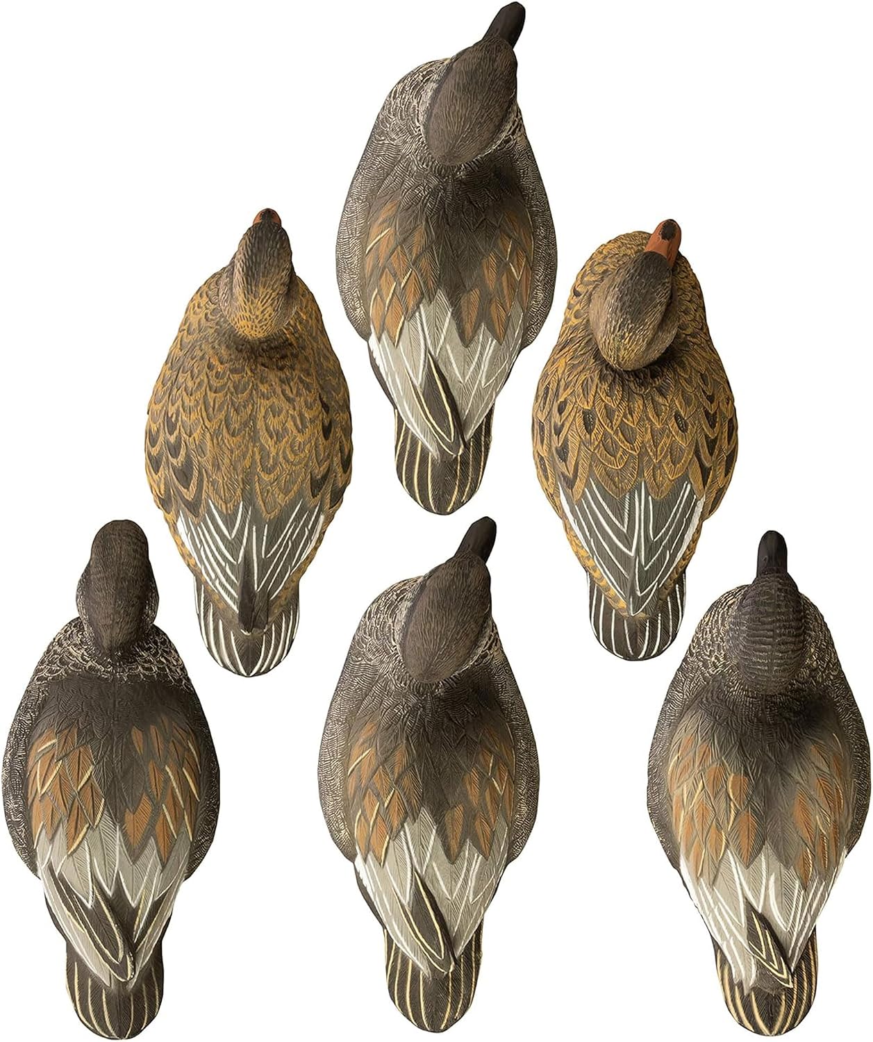 Higdon Outdoors Standard Gadwall Floater Duck Decoys | Ultra Realistic Drake & Hen Decoys for Waterfowl Hunting | Multiple Head Positions | 4 Drakes & 2 Hens| Foam-Filled | 6pk