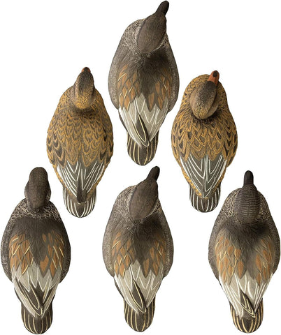 Higdon Outdoors Standard Gadwall Floater Duck Decoys | Ultra Realistic Drake & Hen Decoys for Waterfowl Hunting | Multiple Head Positions | 4 Drakes & 2 Hens| Foam-Filled | 6pk