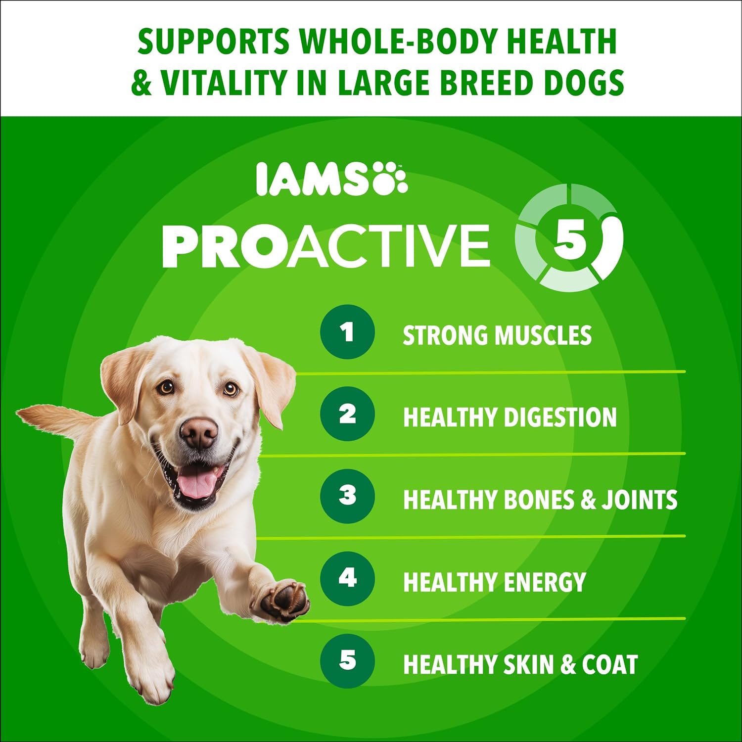 IAMS Proactive Health Large Breed Dry Dog Food, Chicken, 30 lb