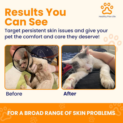 Healthy Paw Life - Lime Sulfur Dip - Pet Care for Itchy and Dry Skin - Xtra Strength Formula - Safe Solution for Dog, Cat, Puppy, Kitten, Horse (1 Gallon)