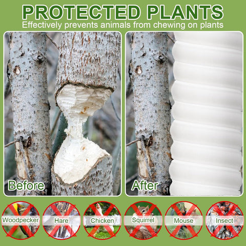 4/6/8/20 Pcs Tree Trunk Protector-2 Size Plastic Spiral Tree Guard Tree Trunk Protector Wrap Tree Bark Protector Tube Tree Wraps to Protect Bark Tree Saplings from Deer Cats Rodents Rabbit Mowers