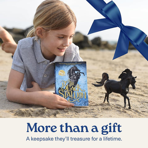 Breyer Black Stallion Horse & Book Set 6181, Black