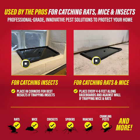 Catchmaster Rat & Mouse Glue Traps with Sticky Putty 2Pk, Large Bulk Glue Board, Rat & Mouse Traps Indoor for Home, Adhesive Plastic Tray for Snakes, Mice & Spiders, Pest Control for House & Garage