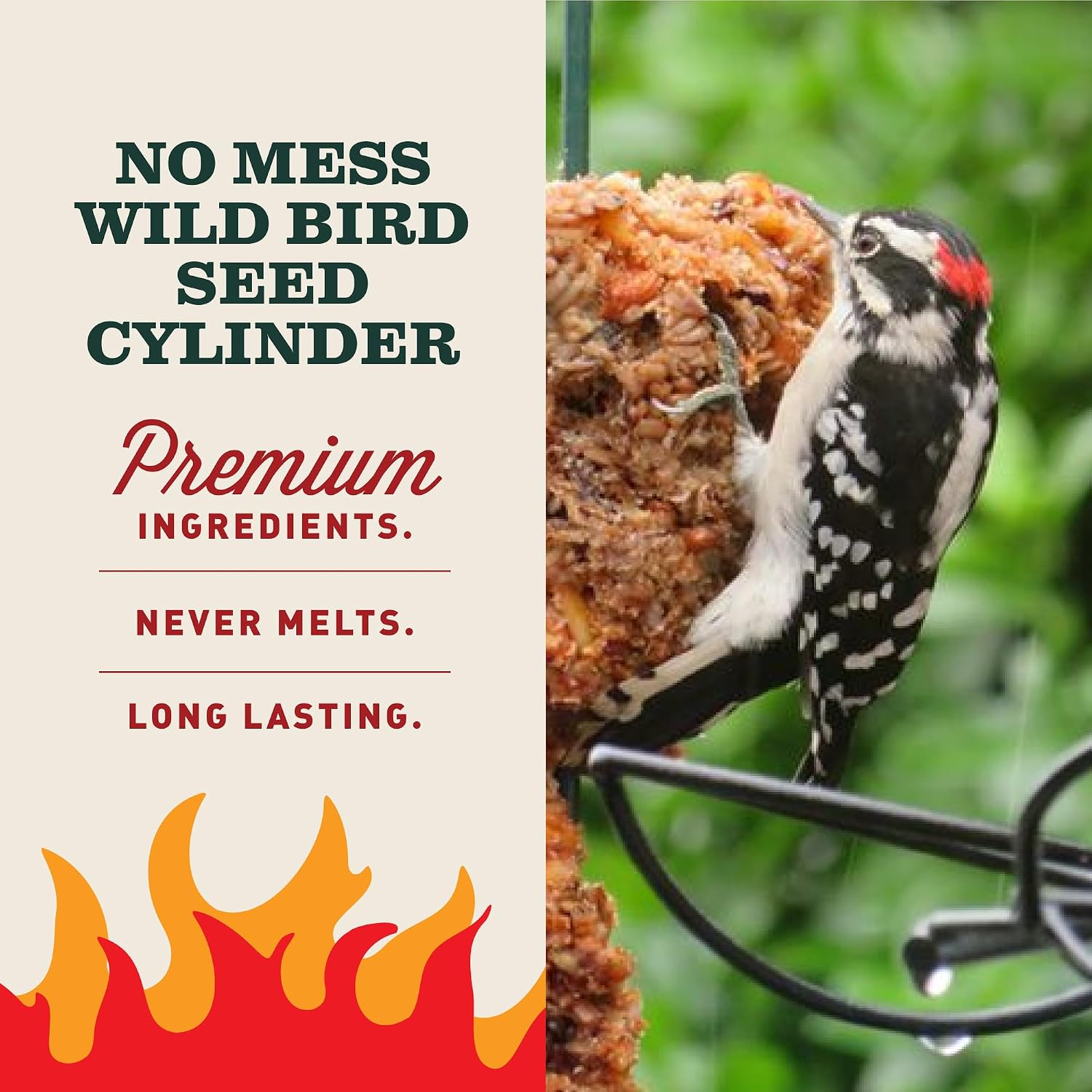 Mr. Bird Flaming Hot Feast Spicy Bird Seed Cylinder, 4-Pack, 1 lb 3 oz