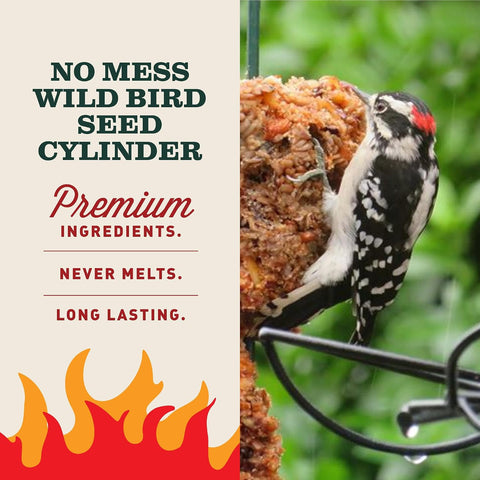 Mr. Bird Flaming Hot Feast Spicy Bird Seed Cylinder, 4-Pack, 1 lb 3 oz