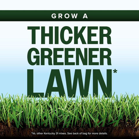 Scotts Kentucky 31 Grass Seed Mix, 20 lbs.