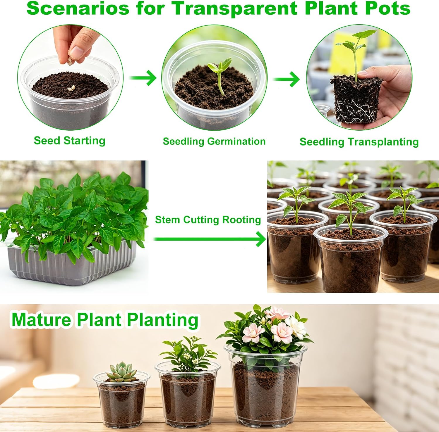 JERIA 30 Pack 5 Inch Clear Nursery Pots with Drainage Holes, Clear Plant Pot for Planting, Transparent Plastic Plant Pots,Durable Seed Starting Pot for Succulents