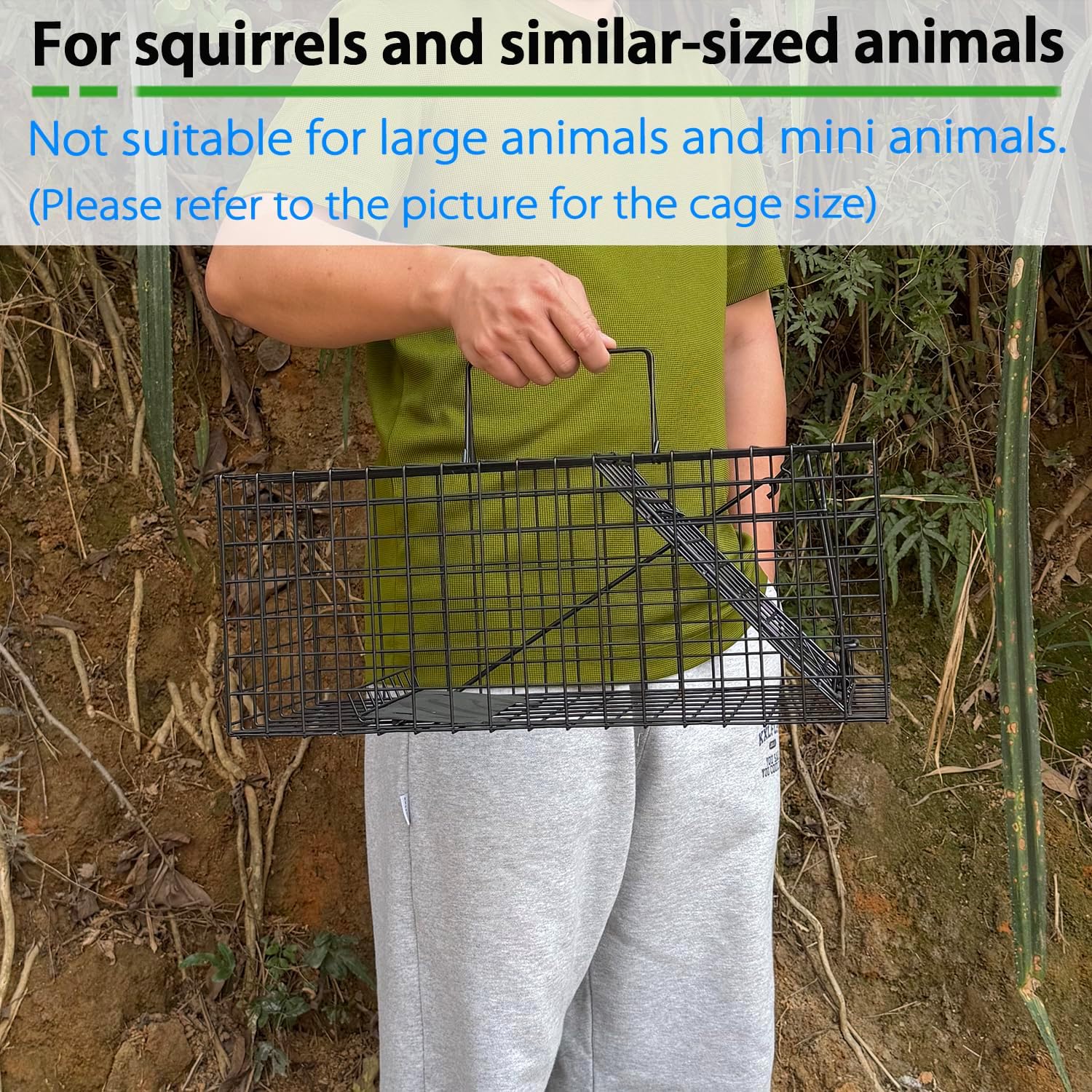 Live Squirrel Trap Heavy Duty Humane Animal Cage Trap