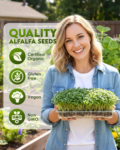 Nature Jim's Sprouts - Organic Alfalfa Sprouting Seeds – Non-GMO - 16 oz