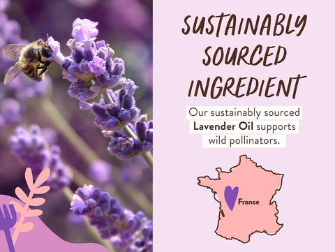BABO Botanicals Calming Lavender 2-in-1 Bubble Bath & Wash - Relaxing Chamomile & Lavender - EWG Verified- Vegan- for All Ages- Scented with Lavender Essential Oil