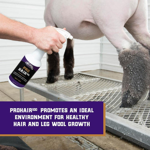 Weaver Livestock ProHair100 Healthy Hair and Wool Rejuvenating Livestock Hair Conditioner for Sheep, Goats, Cattle, and More, Showsheen Essentials