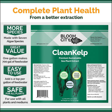 Bloom City Seaweed and Kelp Liquid Fertilizer for Plants, 8 oz