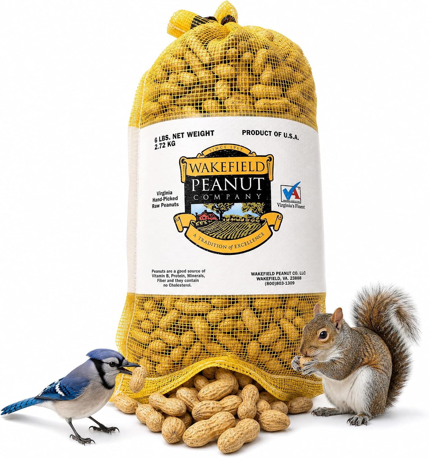 Wakefield Premium Virginia Peanuts in-Shell for Squirrels, Blue Jays & Wildlife - 6 LB Bag - Hand-Picked, Raw, Unsalted, High Protein Wild Bird & Animal Feed