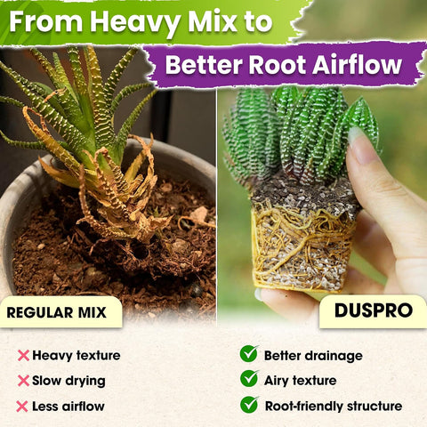 DUSPRO 7-in-1 Succulents & Cactus Soil Mix, Pre-Mixed & Ready to Use, 8 QT