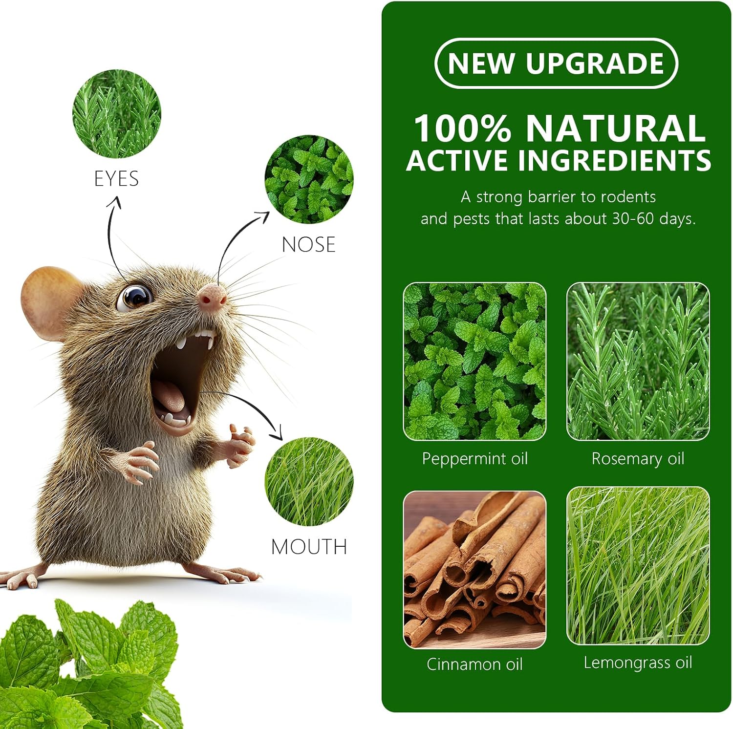Mouse Rodent Repellent, 48 Pack Peppermint Lemon Oil Mice Repellent for Squirrel Rats Spider Pests, Natural Deterrent for Kitchen, Warehouse, Car, Indoor, Outdoor, Safe for Pets Family