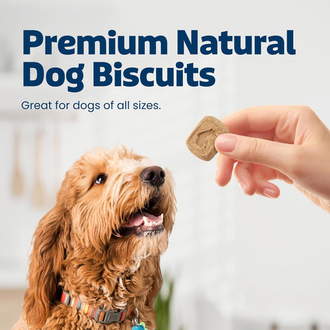 Blue Buffalo Health Bars Pumpkin & Cinnamon Dog Biscuits, 16 oz