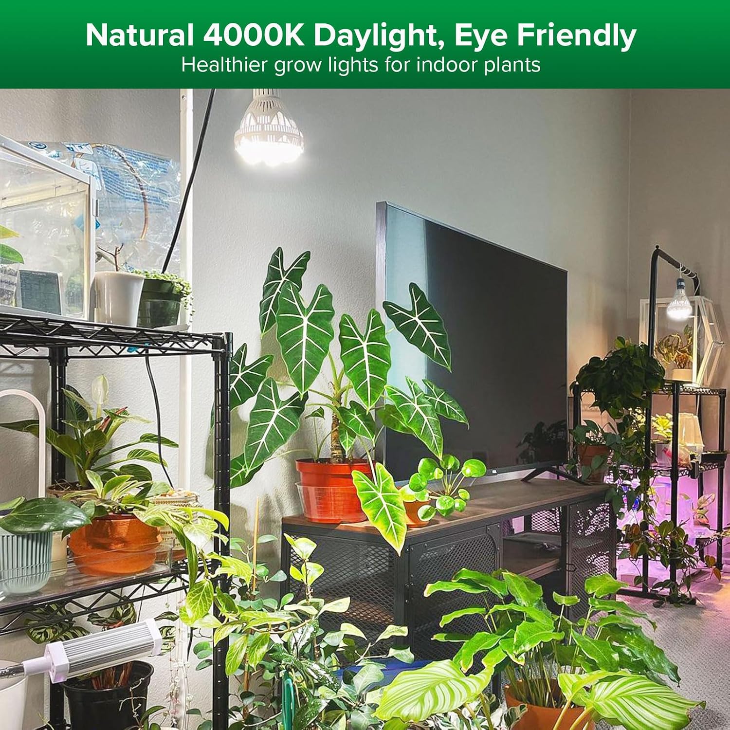 SANSI Grow Lights for Indoor Plants, 36W Plant Lights for Indoor Growing